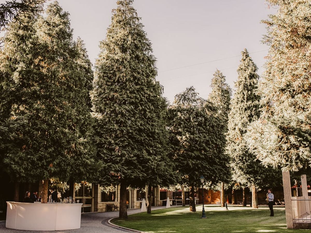 Árvores altas a dar sombra ao jardim ao fim da tarde